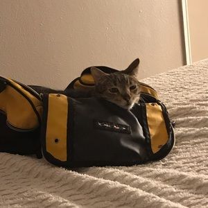 Meet your Posher, Ashlyn